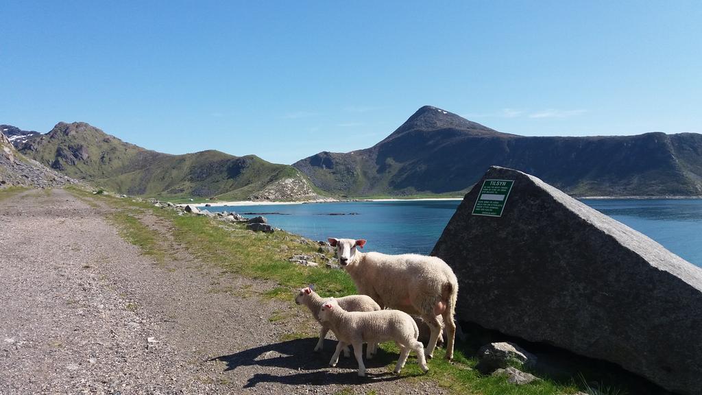 Feriehus Med Flott Havutsikt Ved Hauklandstranden Leknes Exterior foto